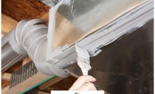 What To Do When You Find A Dead Animal In Your Ducts