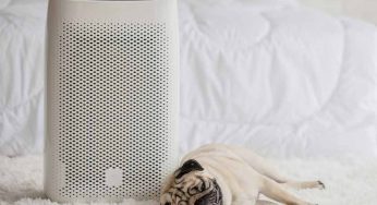Indoor Air Quality Tips for Households with Pets